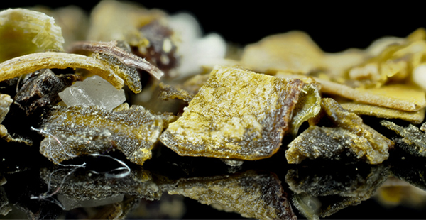 A close-up image of loose tea leaves similar to those that may be found in herbal blends like Essiac tea